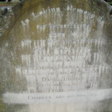 CROWLEY John -1918 :: CROWLEY Rose Magdalene -194? :: CROWLEY Wilhelmina Maria Johanna -1952