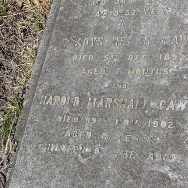 CAWSE Charles Henry -1913 :: CAWSE Gladys Helen -1892 ::  CAWSE Harold Marshall -1902 