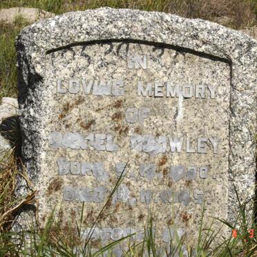 COWLEY Daniel 1??0-1??5