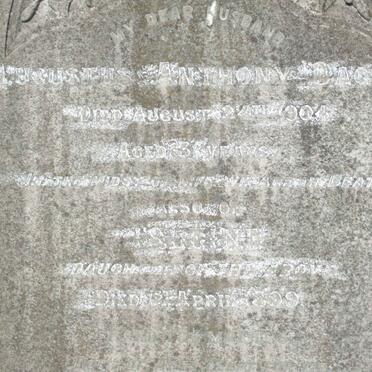 DAGNIN Augustus Anthony -1904 :: DAGNIN ? -1899