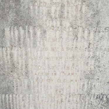 DAVIES William Isaac -1894