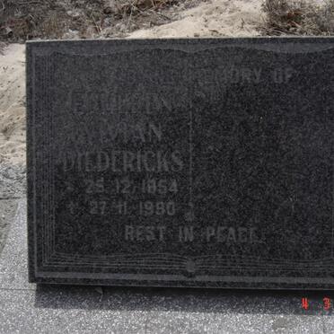 DIEDERICK Emileen Vivian 1854-1990