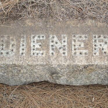 DIENER August C.W. 1876-1970 &amp; Jacoba Petronella GOUWS 1886-1962 :: DIENER August C.W. 1949-1973 