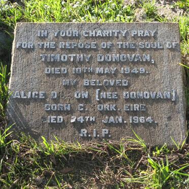 DONOVAN Timothy -1949 :: DILLON Alice nee DONOVAN -1964