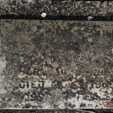 DAVIDS Eugene 1892-1969
