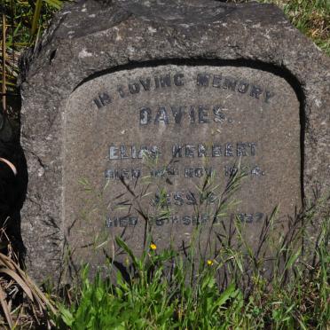 DAVIES Elias Herbert -1924 &amp; Jessie -1937