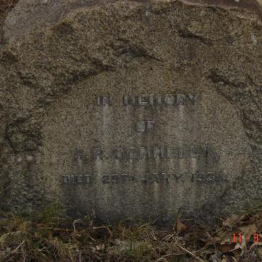 DONNELLY A.R. -1934