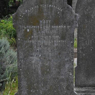 ELLIS Mark -1913 :: ELLIS Mary -1900