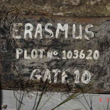 ERASMUS