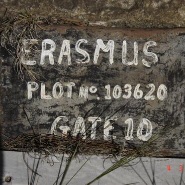 ERASMUS