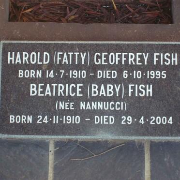 FISH :: NANNUCCI 