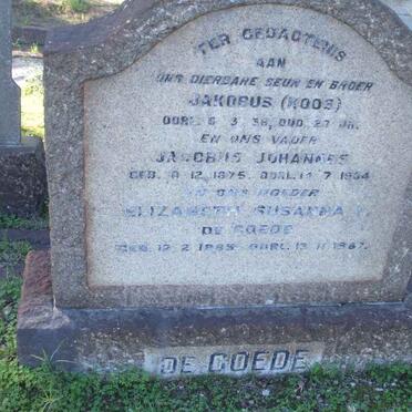GOEDE Jacobus Johannes, de 1875-1964 &amp; Elizabeth Susanna 1885-1967 :: DE GOEDE Jakobus 1938