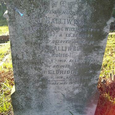 HALLIWELL J. -1887 :: HALLIWELL E.L. -1912 :: ELDRIDGE R.B. -1918