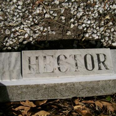 HECTOR