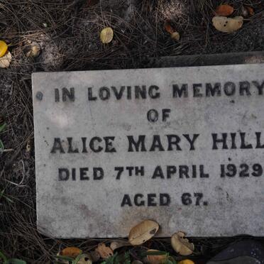 HILL Alice Mary -1929
