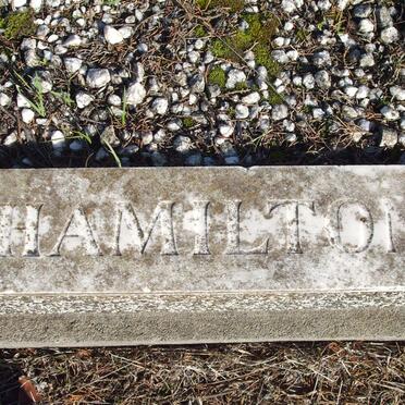 HAMILTON Carel Willem 1919-1969, HAMILTON Deon 1950-1968_2