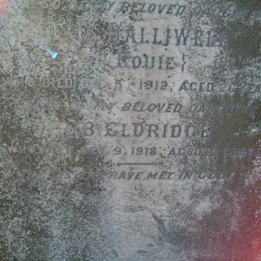 HALLIWELL E.L. -1912 :: ELDRIDGE R.B. -1918