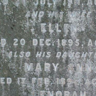 HALL Ellen -1895 :: HALL Mary Ann -1896 