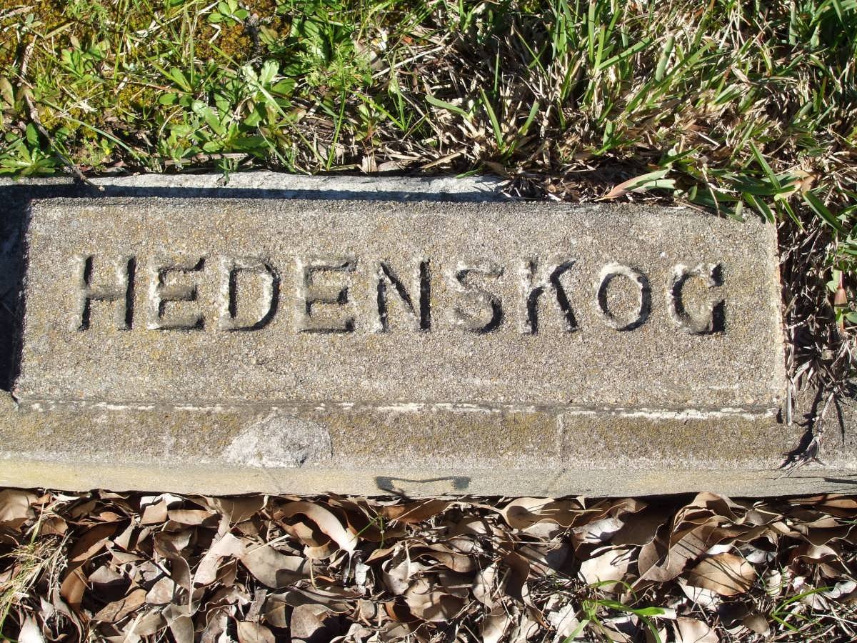 HEDENSKOG