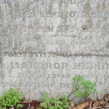 HERBERT Johanna  Josephine de Maldrop -1922