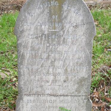 HERBERT Maud Souvenira -1908 :: HERBERT Johanna  Josephine de Maldrop -1922