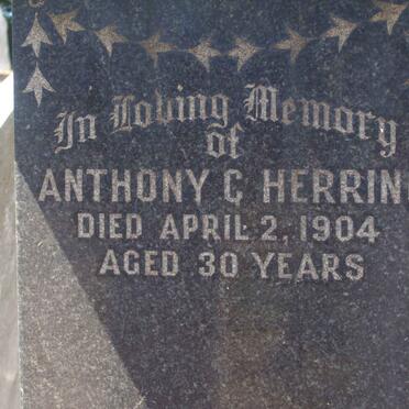 HERRING Anthony C. -1904