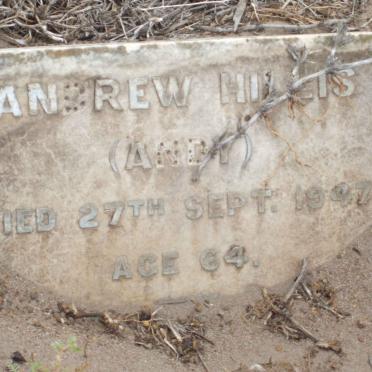 HILLIS Andrew -1947