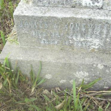 HONEYMAN James -1906