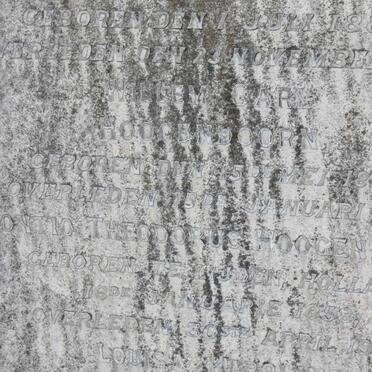 HOOGENDOORN Willem Carl 1887-1914 :: HOOGENDOORN Pontio Theodorus 1858-1935