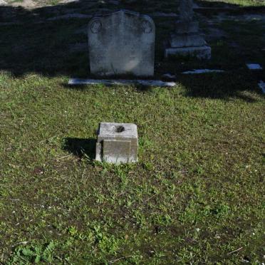 JOHNSTON 