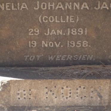 KOCK Cornelia Johanna Jacoba, de 1891-1958