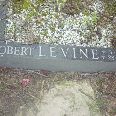 LEVINE Robert 1924-1980
