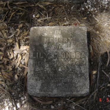 LONDBA Lily -1942