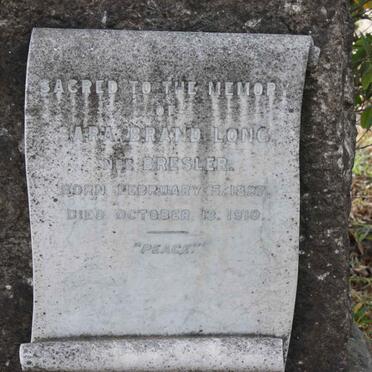 LONG Sara Brand nee BRESLER 1827-1910
