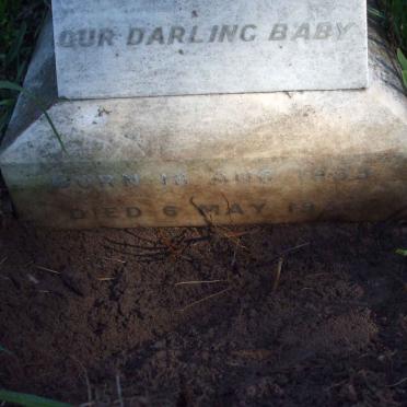 ? Patricia -195?