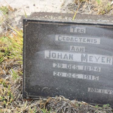 MEYER Johan 1894-1915