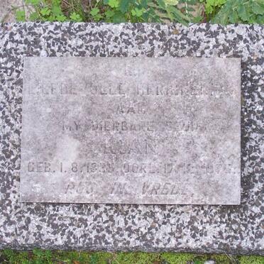 MYBURGH Rian 1935-1975