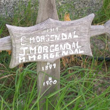 MORGENDAL C. :: MORGENDAL J. :: MORGENDAL M.