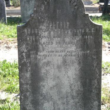 MORGAN Alfred Charles -1896