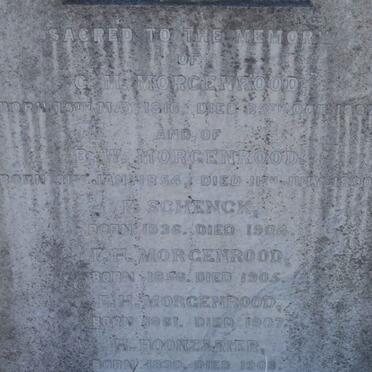 MORGENROOD :: SCHENK