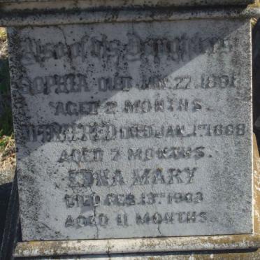 McGREGOR Sophia -1891 :: McGREGOR Winifred -1898 :: McGREGOR Edna Mary -1903