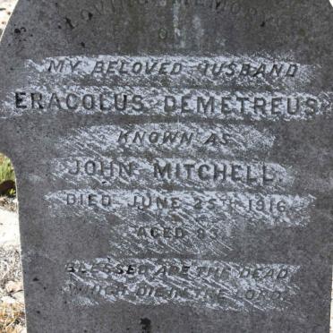 MITCHELL Eracolus Demetreus -1916