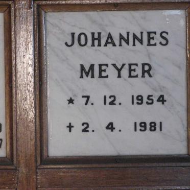 MEYER Johannes 1954-1981
