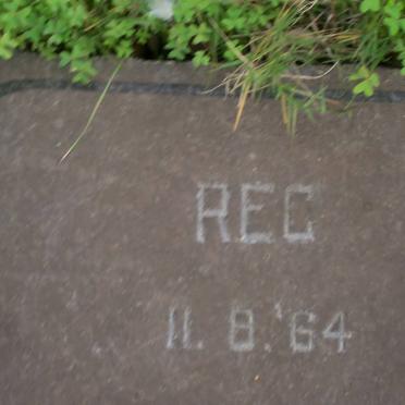 ? Reg -1964