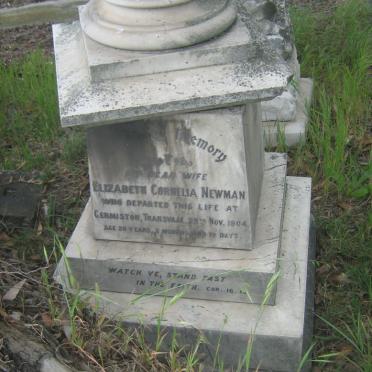 NEWMAN Elizabeth Cornelia -1904