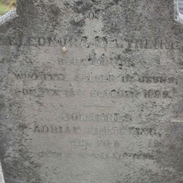 NEETHLING Johannes Adrian -1892 &amp; Eleonora LOUW  -1895