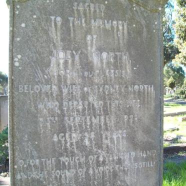 NORTH Joey nee DU PLESSIS -1928