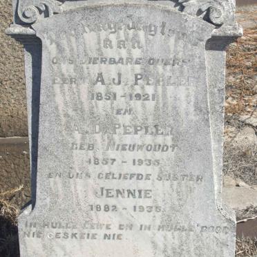 PEPLER A.J. 1851-1921 &amp; A.D. NIEWOUDT 1857-1935 :: PEPLER Jennie 1882-1935