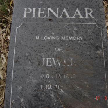 PIENAAR Jewell 1909-19??