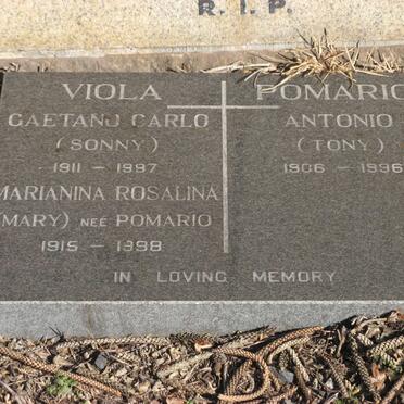 POMARIO :: VIOLA